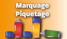 marquage_piquetage